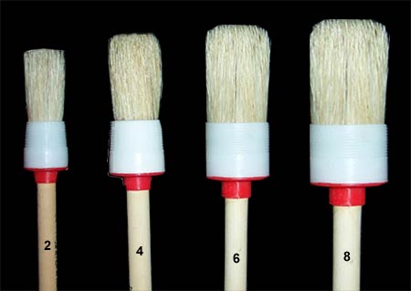 Dove Blender Starter Kit